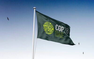 cop 28 flag