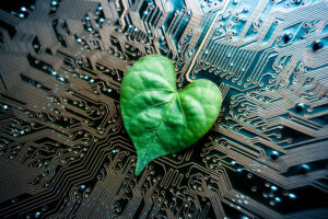 TI verde Evernex - Uma folha verde com formato de coração em um computador