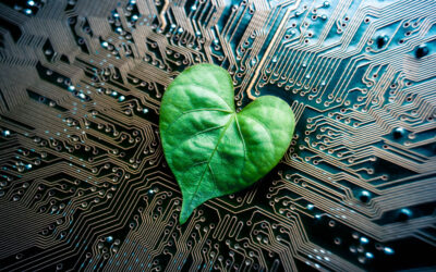 A,Green,Leaf,With,A,Heart,Shape,On,A,Computer