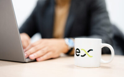 IT security - Evernex